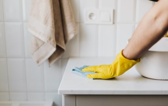 7 Pest Control Hacks Every Homeowner Should Know